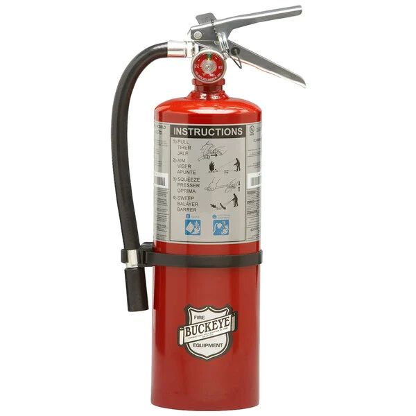 Buckeye 5.5 lb BC Fire Extinguisher