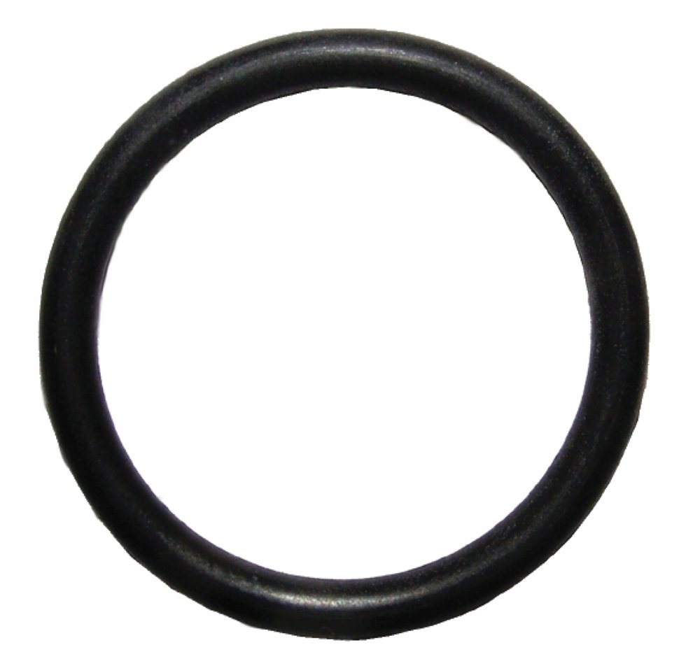 Badger Dry Chemical Neck O-Ring, Small Valve