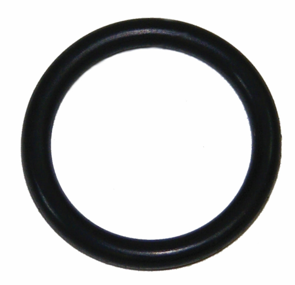 Ansul Sentry Neck O-Ring