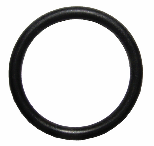 Badger Dry Chemical Neck O-Ring, Small Valve