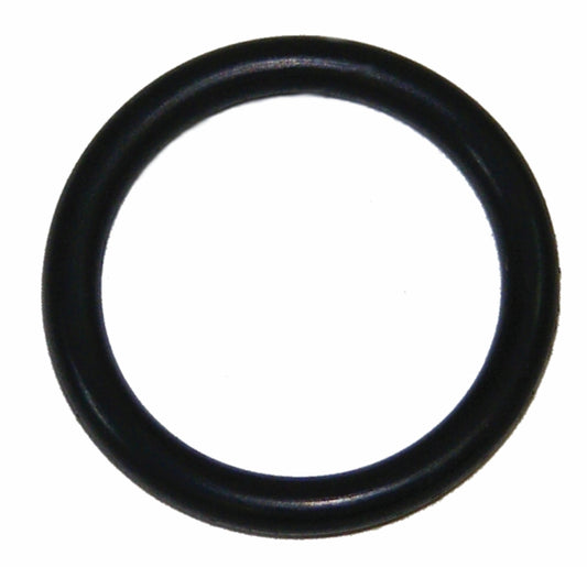 Ansul Sentry Neck O-Ring
