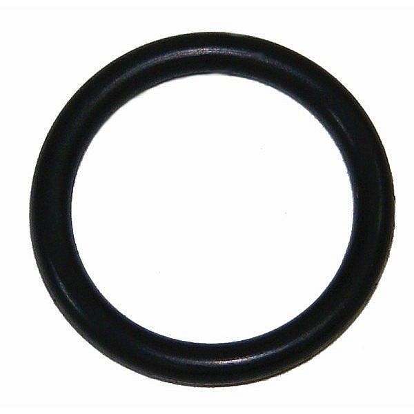 Ansul Sentry Neck O-Ring.&nbsp; For dry chemical and Cleanguard+ extinguishers.