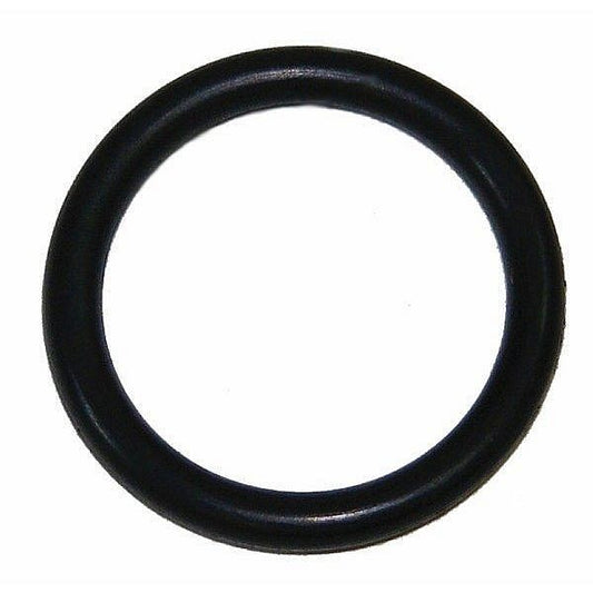 Ansul Sentry Neck O-Ring.&nbsp; For dry chemical and Cleanguard+ extinguishers.