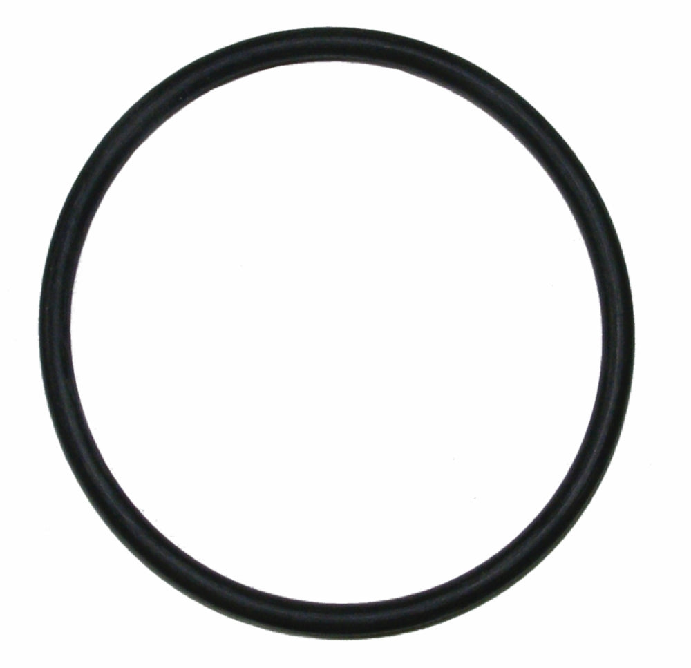 Buckeye Wheeled Unit Fill Cap O-Ring, for 150 lb Stored Pressure