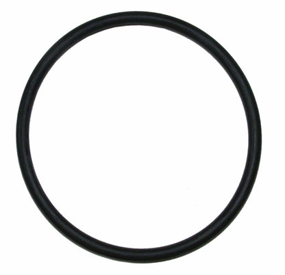 Buckeye Wheeled Unit Fill Cap O-Ring, for 150 lb Stored Pressure