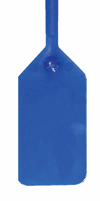 Tamper Seal, Plain, Blue (1000/PK)